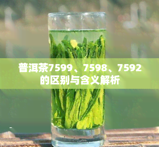 普洱茶7599、7598、7592的区别与含义解析