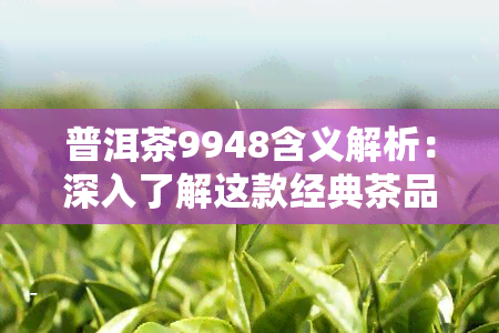 普洱茶9948含义解析：深入了解这款经典茶品