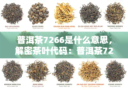 普洱茶7266是什么意思，解密茶叶代码：普洱茶7266的含义与由来