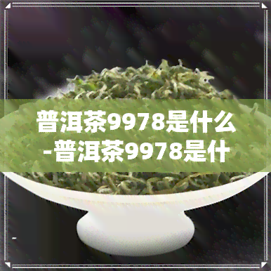 普洱茶9978是什么-普洱茶9978是什么意思