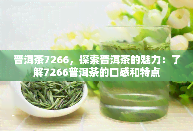 普洱茶7266，探索普洱茶的魅力：了解7266普洱茶的口感和特点