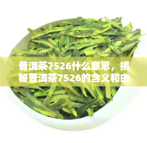 普洱茶7526什么意思，揭秘普洱茶7526的含义和由来