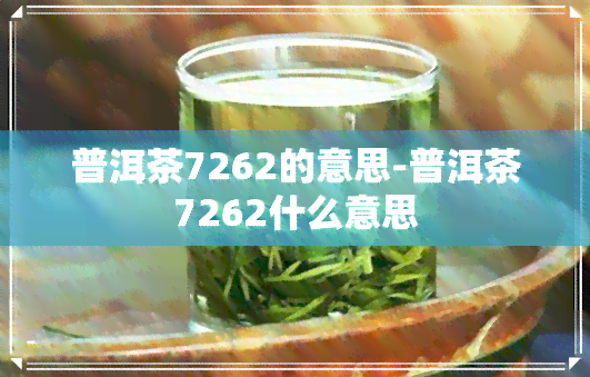 普洱茶7262的意思-普洱茶7262什么意思