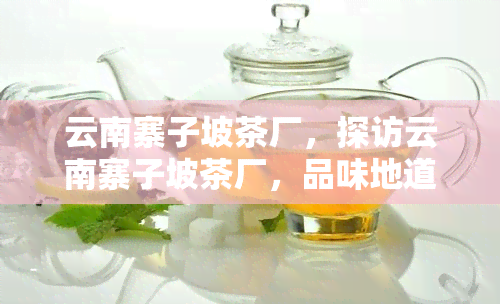 云南寨子坡茶厂，探访云南寨子坡茶厂，品味地道普洱茶的魅力