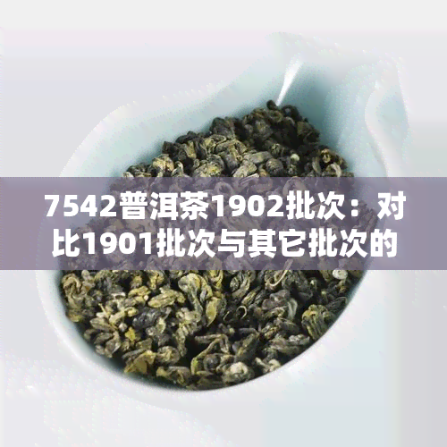 7542普洱茶1902批次：对比1901批次与其它批次的不同之处