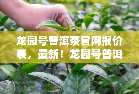 龙园号普洱茶官网报价表，最新！龙园号普洱茶官网报价表全览