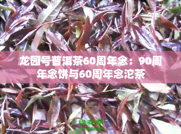 龙园号普洱茶60周年念：90周年念饼与60周年念沱茶