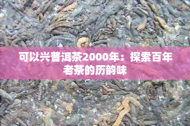 可以兴普洱茶2000年：探索百年老茶的历韵味