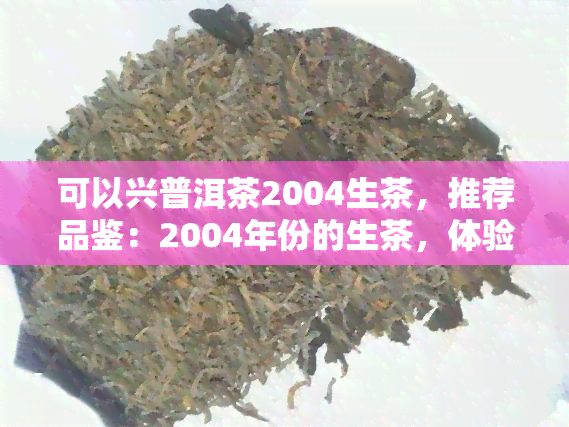 可以兴普洱茶2004生茶，推荐品鉴：2004年份的生茶，体验普洱茶的魅力