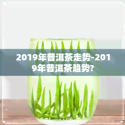 2019年普洱茶走势-2019年普洱茶趋势?