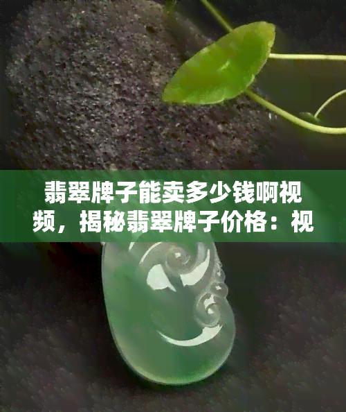 翡翠牌子能卖多少钱啊视频，揭秘翡翠牌子价格：视频解析市场行情与估价技巧