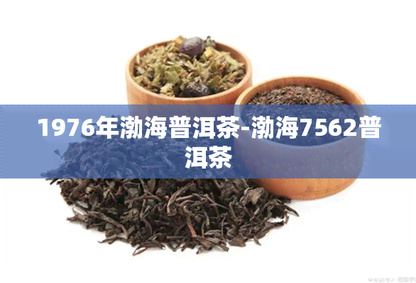 1976年渤海普洱茶-渤海7562普洱茶