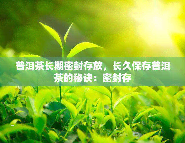 普洱茶长期密封存放，长久保存普洱茶的秘诀：密封存