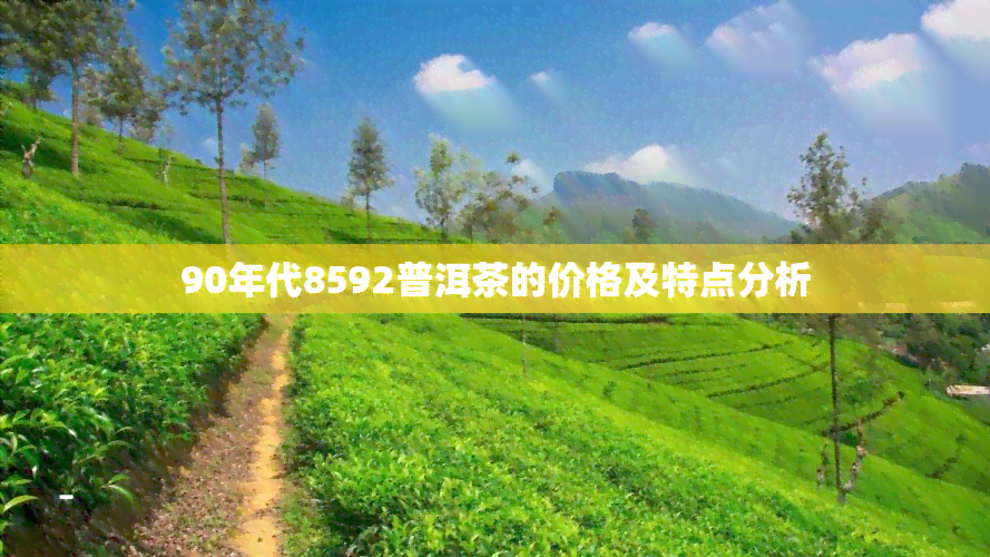 90年代8592普洱茶的价格及特点分析