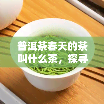 普洱茶春天的茶叫什么茶，探寻春天的味道：普洱茶春茶叶品种全解析