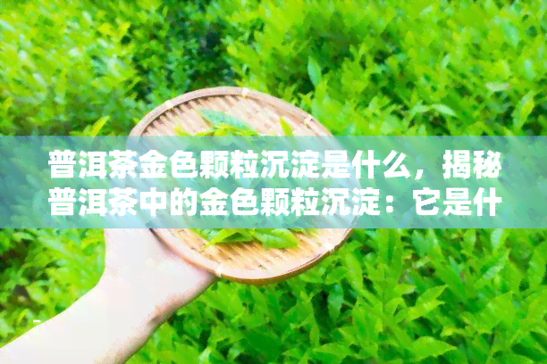 普洱茶金色颗粒沉淀是什么，揭秘普洱茶中的金色颗粒沉淀：它是什么？