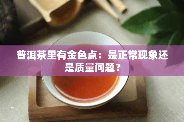 普洱茶里有金色点：是正常现象还是质量问题？