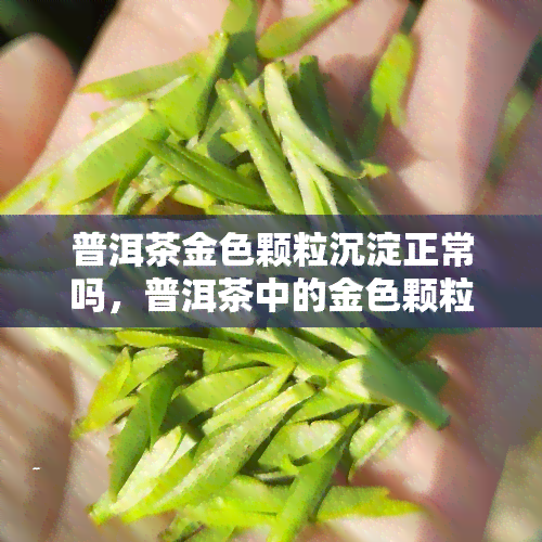 普洱茶金色颗粒沉淀正常吗，普洱茶中的金色颗粒沉淀是否正常？