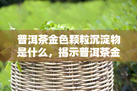 普洱茶金色颗粒沉淀物是什么，揭示普洱茶金色沉淀物的秘密：它们是什么？