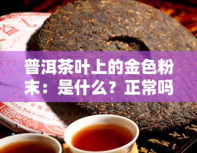 普洱茶叶上的金色粉末：是什么？正常吗？