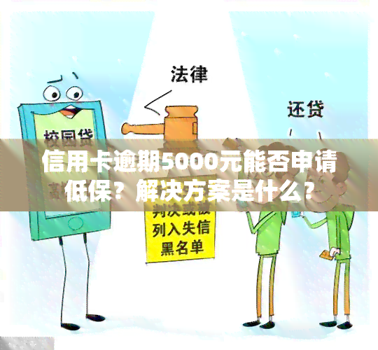 信用卡逾期5000元能否申请低保？解决方案是什么？