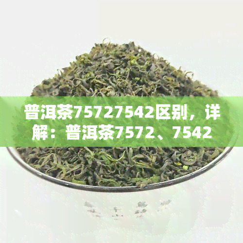 普洱茶75727542区别，详解：普洱茶7572、7542的区别与特点