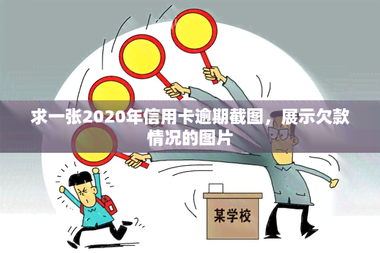 求一张2020年信用卡逾期截图，展示欠款情况的图片