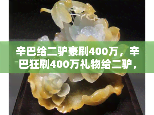 辛巴给二驴豪刷400万，辛巴狂刷400万礼物给二驴，引粉丝热议！