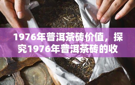 1976年普洱茶砖价值，探究1976年普洱茶砖的收藏价值与历意义