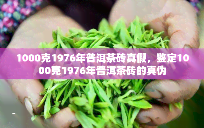 1000克1976年普洱茶砖真假，鉴定1000克1976年普洱茶砖的真伪