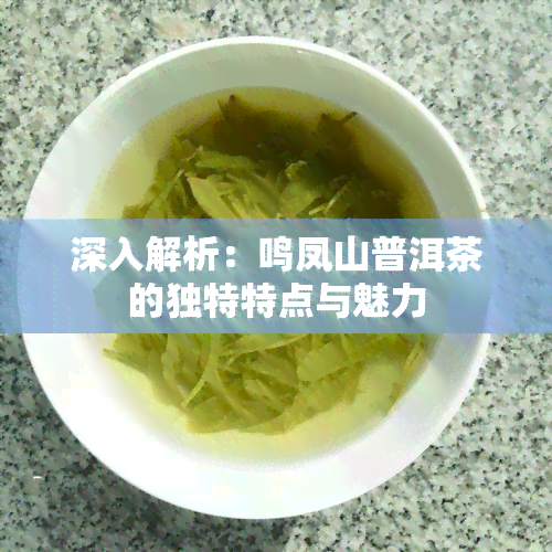 深入解析：鸣凤山普洱茶的独特特点与魅力