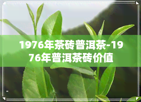 1976年茶砖普洱茶-1976年普洱茶砖价值