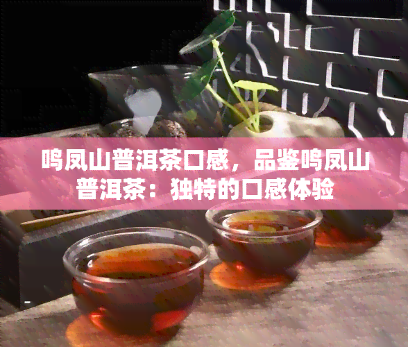 鸣凤山普洱茶口感，品鉴鸣凤山普洱茶：独特的口感体验