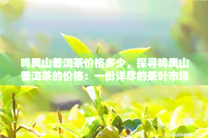 鸣凤山普洱茶价格多少，探寻鸣凤山普洱茶的价格：一份详尽的茶叶市场分析报告