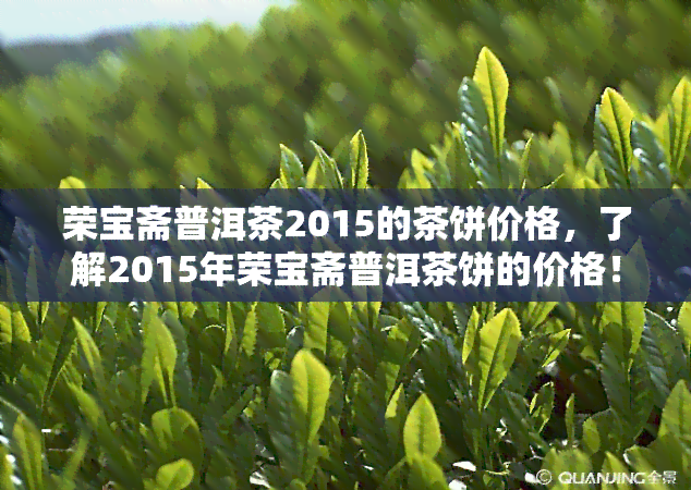 荣宝斋普洱茶2015的茶饼价格，了解2015年荣宝斋普洱茶饼的价格！