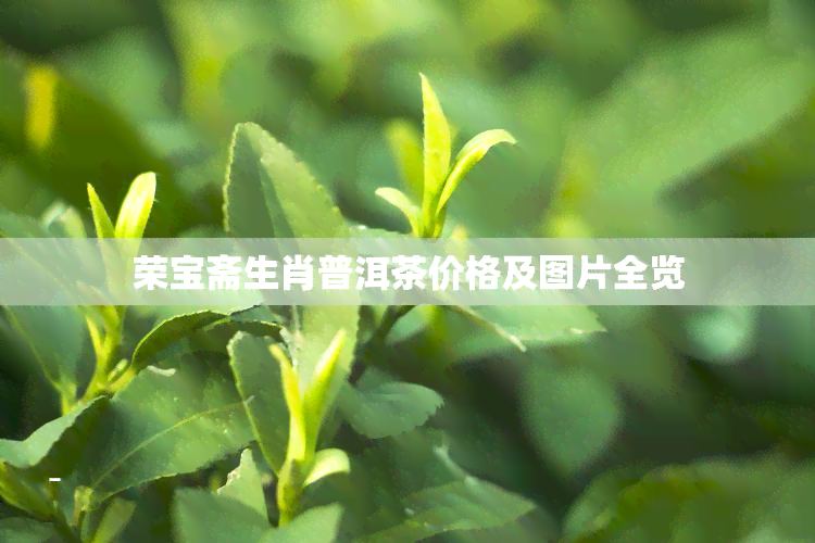 荣宝斋生肖普洱茶价格及图片全览