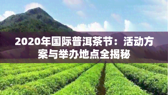 2020年国际普洱茶节：活动方案与举办地点全揭秘