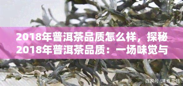 2018年普洱茶品质怎么样，探秘2018年普洱茶品质：一场味觉与历的碰撞