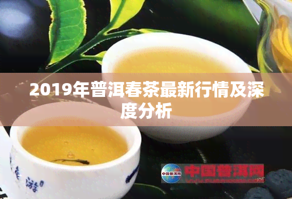 2019年普洱春茶最新行情及深度分析