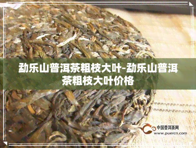 勐乐山普洱茶粗枝大叶-勐乐山普洱茶粗枝大叶价格