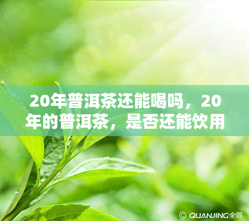 20年普洱茶还能喝吗，20年的普洱茶，是否还能饮用？探讨其保质期与品质变化