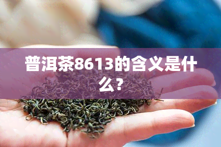 普洱茶8613的含义是什么？