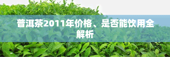 普洱茶2011年价格、是否能饮用全解析