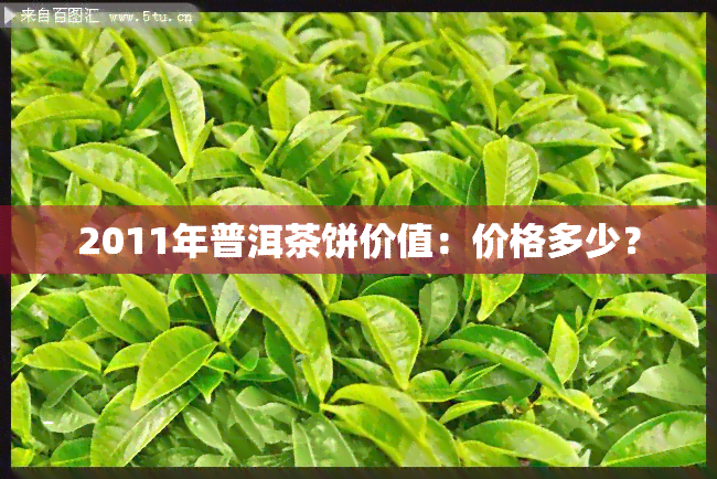 2011年普洱茶饼价值：价格多少？