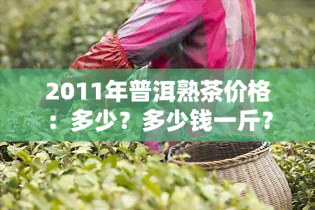 2011年普洱熟茶价格：多少？多少钱一斤？