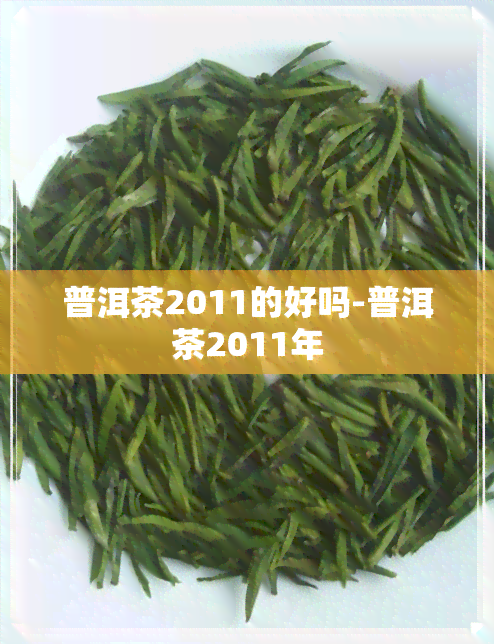 普洱茶2011的好吗-普洱茶2011年