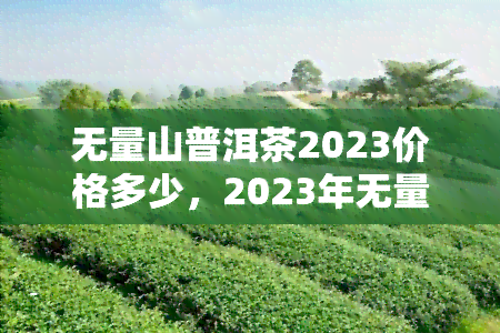 无量山普洱茶2023价格多少，2023年无量山普洱茶价格一览