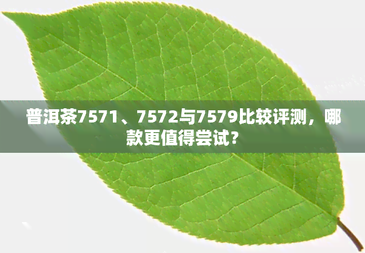 普洱茶7571、7572与7579比较评测，哪款更值得尝试？