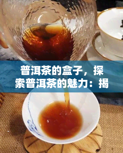 普洱茶的盒子，探索普洱茶的魅力：揭开茶叶盒子背后的秘密