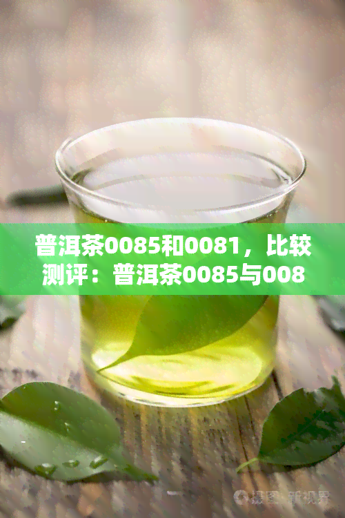 普洱茶0085和0081，比较测评：普洱茶0085与0081的不同之处